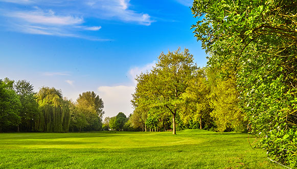 park Accidents Involving Dangerous Substances